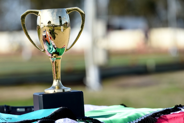 HORSHAM CUP HEATS: Will local youngster show his super powers? | GRV