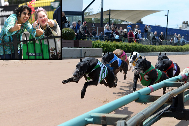 Disability groups off and running for Great Chase Grand final