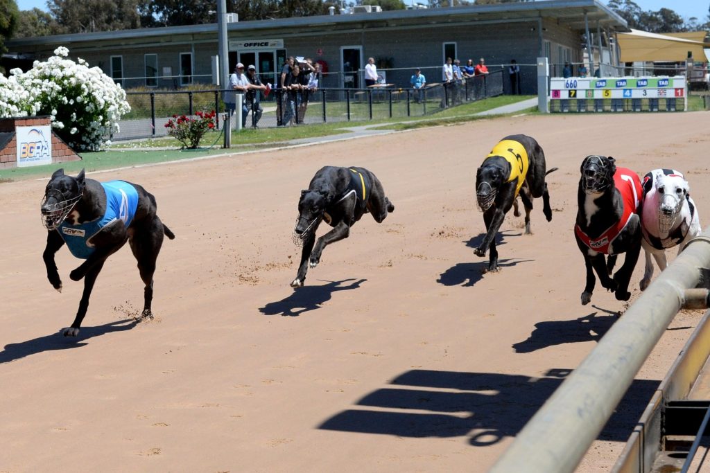 Ready 2 Race Sales: Another Big Day Out At Bendigo