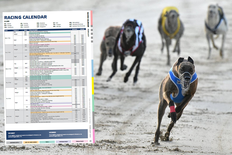 February / March Racing Calendar now available